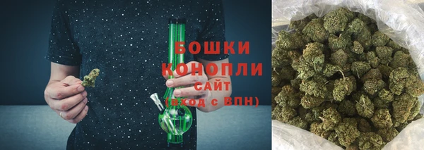 spice Новодвинск