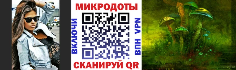Псилоцибиновые грибы Psilocybine cubensis  Мосальск 